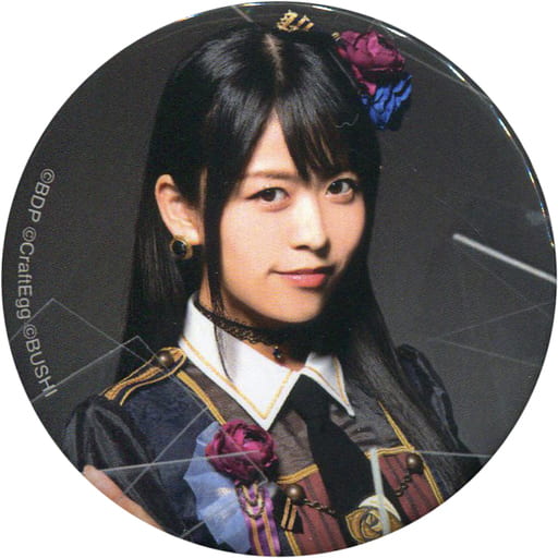 Roselia 相羽あいな　缶バッジ10個③ 相羽あいな Roselia 缶バッジレア10個 HAPPY BIRTHDAY 相羽あいなさん