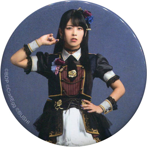 駿河屋 -<中古>相羽あいな(湊友希那)/膝上・背景：グレー 「Roselia