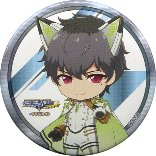 徽章胸针鹰城恭二 偶像大师sidem5周年纪念活动in南家糖徽章收藏 杂货 小物件 Suruga Ya Com