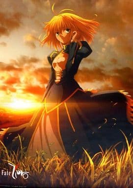 Dies irae 描き下ろしB2布ポスター マリィ ソフマップ購入特典 Amazon.co.jp: 布ポスター マリィ Dies irae ソフマップ特典