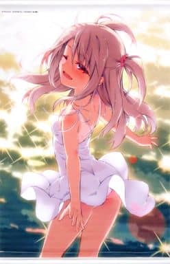 駿河屋 -<中古>イリヤスフィール ひろやまひろし描き下ろしB2イベント