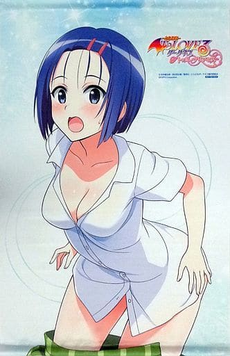 駿河屋 -<中古>西連寺春菜 描き下ろしB2タペストリー 「PS Vitaソフト 