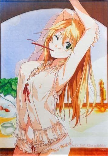 駿河屋 -<中古>ベアトリス B2パジャマタペストリー 「Dies irae