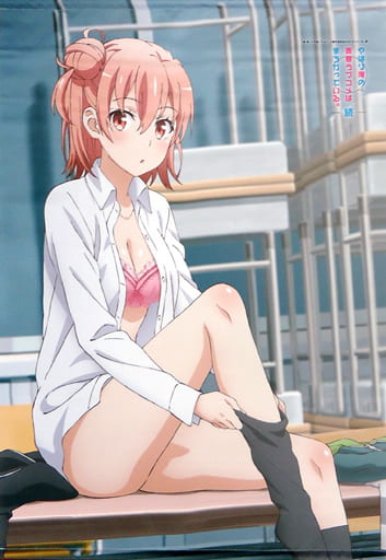 由比ヶ浜結衣 タペストリー Amazon.co.jp: 俺ガイル 由比ヶ浜結衣 タペストリー B3