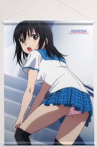 姫柊雪菜　制服 B1タペストリー　ストライク・ザ・ブラッド ストライク・ザ・ブラッドFINAL」姫柊雪菜の大胆なイラストも
