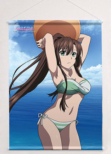 駿河屋 -<新品/中古>煌坂紗矢華(水着) B2タペストリー 「ストライク