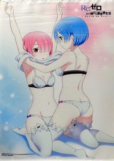 駿河屋 -<中古>レム＆ラム 描き下ろしB2タペストリー 「PS4/PSVita