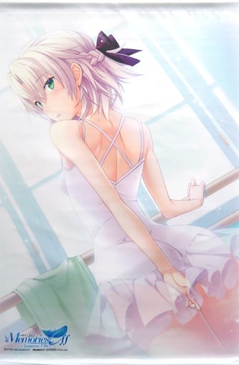 メモリーズオフ　B2タペストリー　嘉神川ノエル B2縦タペストリー「メモリーズオフシリーズ」06/嘉神川ノエル&日紫喜瑞