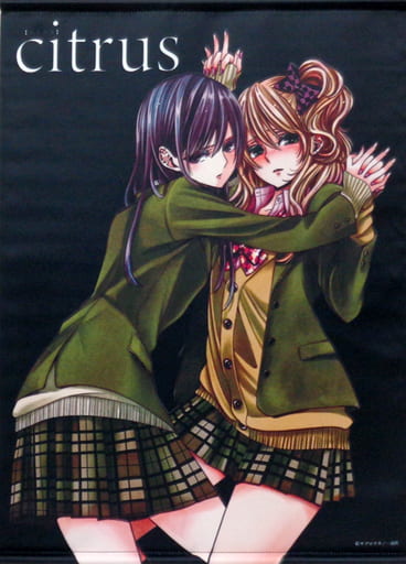 柚子 芽衣 B2タペストリー citrus 駿河屋 -<中古>[単品] 藍原柚子＆藍原芽衣 B2タペストリー 「citrus B2