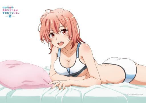 由比ヶ浜結衣 ロングタペストリー  やはり俺の青春ラブコメはまちがっている。続 41bA2XbX4wL._UF350,350_QL50_.jpg