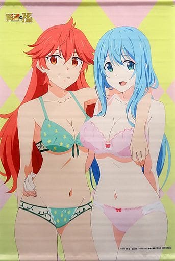 西西裏和瑪利亞動畫新作插畫使用b2掛畫 Blu Ray Dvd賢者之孫 Animate全卷購入特典 雜貨 小配件 Suruga Ya Com