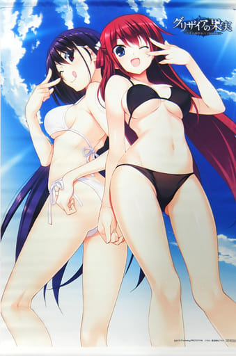 榊由美子 周防天音b2挂画 Switch软件灰色的果实 迷宫 乐园 Sofmap购入特典 杂货 小物件 Suruga Ya Com