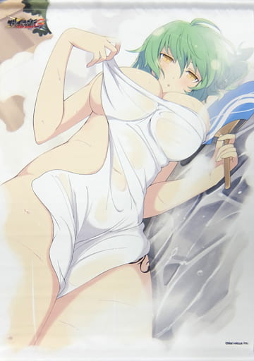 Hikage B2 Tapestry Senran Kagura Newwave G Burst Goods Accessories Suruga Ya Com