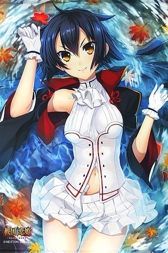 織田信長b2掛畫 戰國 戀姬 少女絢爛 戰國繪卷 終極合作米秋田小町 戰國 戀姬久遠特別set 雜貨 小配件 Suruga Ya Com