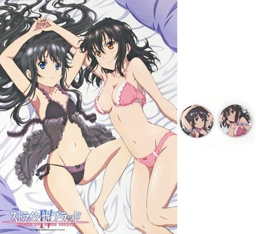 Tapestry With Special Bonus Princess Hiiragi Yukina Nangu Natsuki W Suede B2 Tapestry With 2 Metal Badge Strike The Blood Iv C98 Goods Goods Accessories Suruga Ya Com