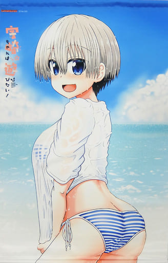 駿河屋 -<中古>[単品] 宇崎花 描き下ろしB2タペストリー 「コミックス