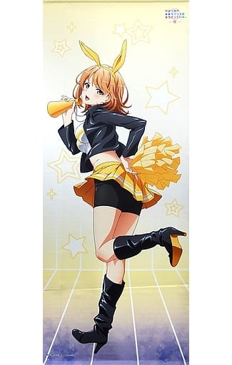 一色いろは 等身大タペストリー ドンキホーテ チアバニー 駿河屋 -<中古>一色いろは(チアバニーver.) 等身大タペストリー