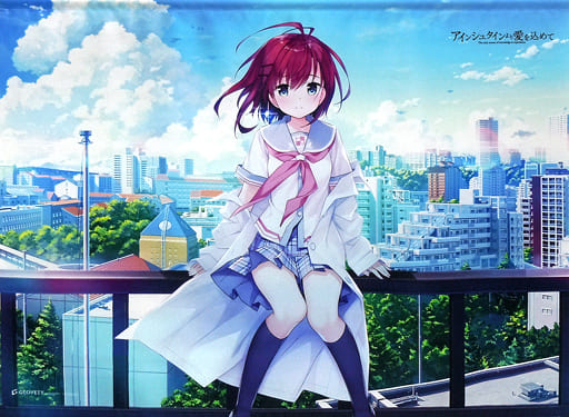 駿河屋 -【アダルト】<中古>有村ロミ オリジナルB2タペストリー 「PC