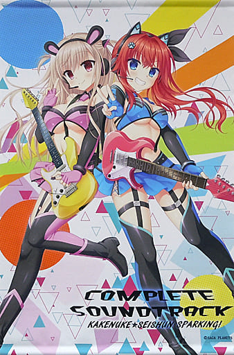 駿河屋 -<中古>[単品] ジャケットイラスト B2タペストリー 「CD 