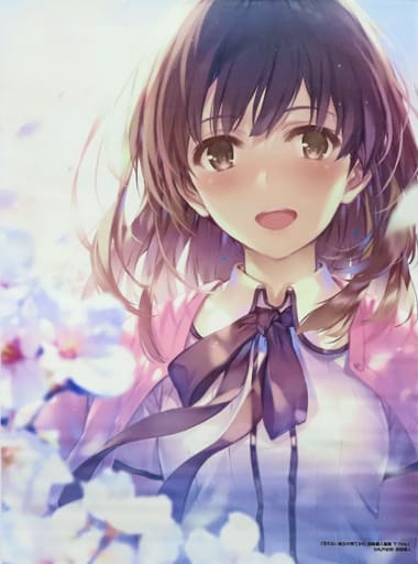 冴えない彼女の育てかた Fes. Fine　加藤恵　深崎暮人　B2　タペストリー Amazon.co.jp: 冴えない彼女の育てかた Fes. Fine 加藤恵 深崎暮