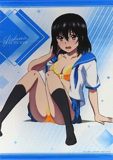駿河屋 -<中古>姫柊雪菜 B2タペストリー 尻もちver