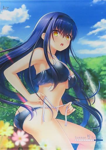 駿河屋 -<中古>久島鴎 2022ver. B2Wスエードタペストリー 「Summer 