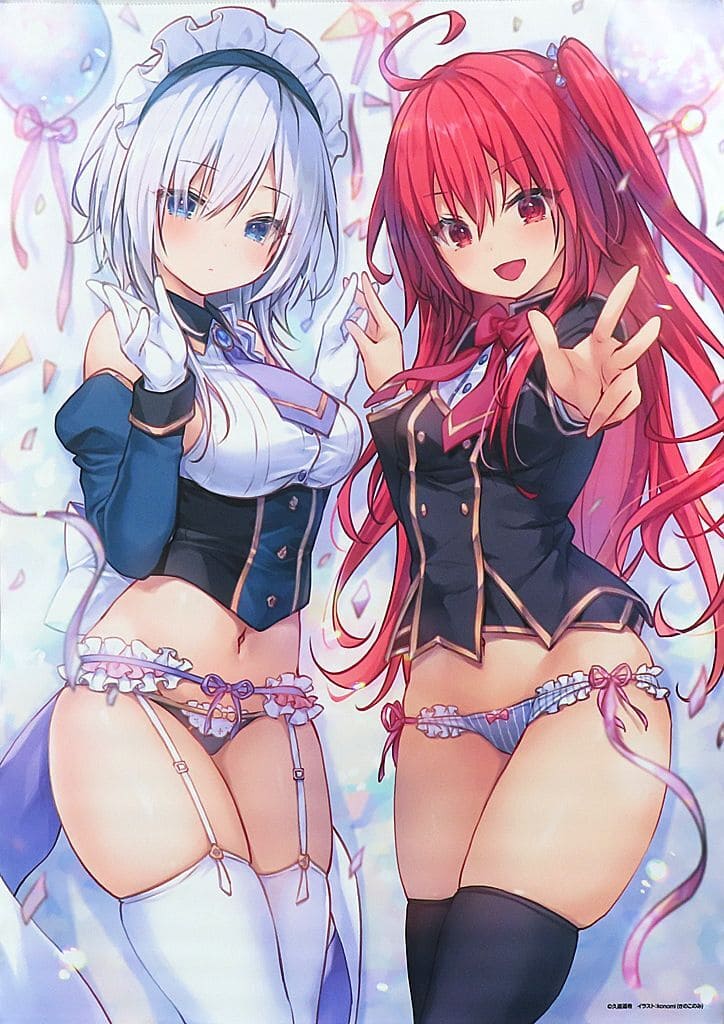 駿河屋 -<中古>彩園寺更紗＆姫路白雪 B2タペストリー(MFたぺJ081 