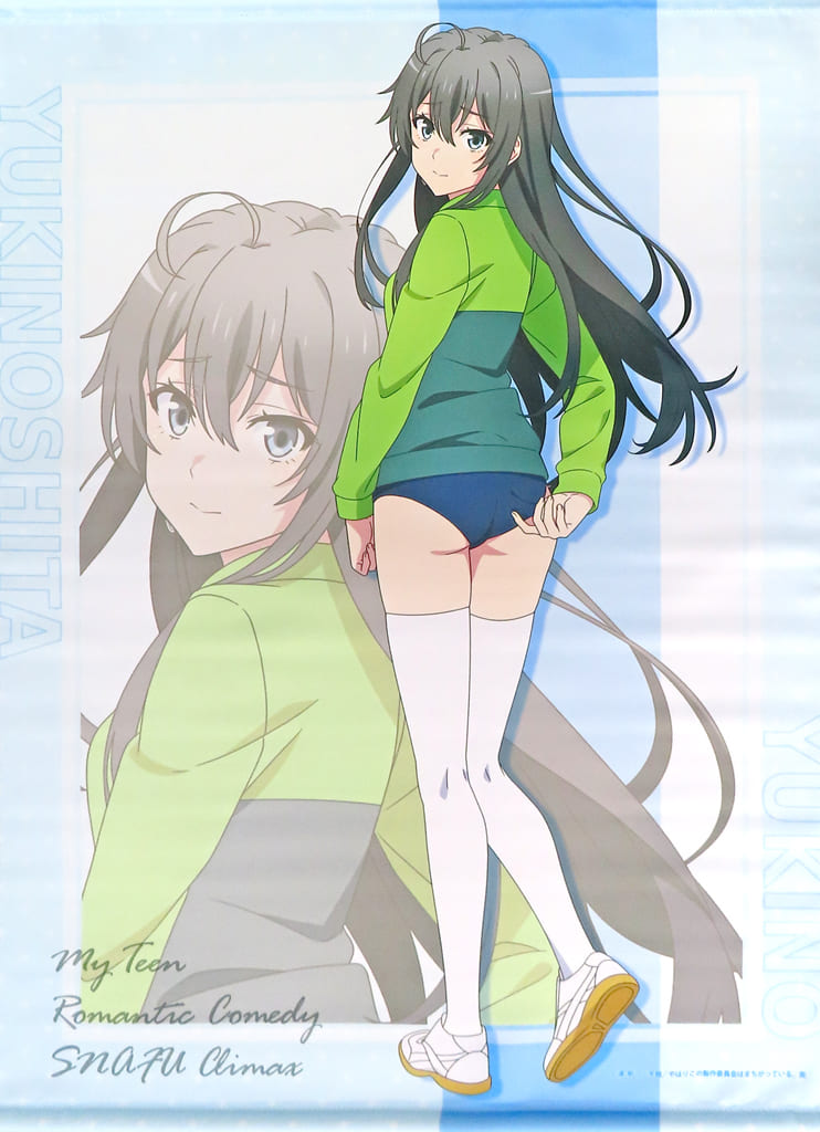 やはり俺の青春ラブコメはまちがっている 雪ノ下雪乃 タペストリー 体操着 873092794.jpg