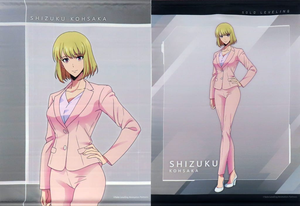 未開封 俺だけレベルアップな件 B2タペストリー Type-B TVアニメ『俺だけレベルアップな件』 描き下ろしB2タペストリー