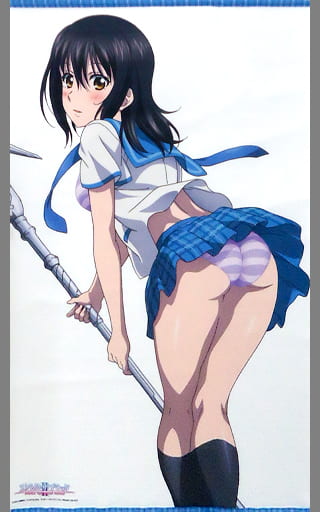 駿河屋 -<中古>姫柊雪菜 等身大タペストリー 「ストライク・ザ 