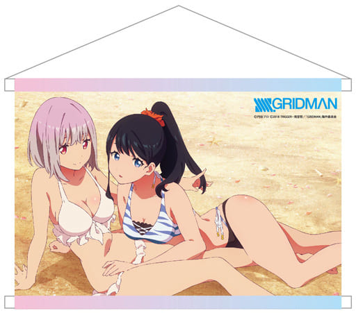 ⭐️ 希少 レア グリッドマン 水着 宝多六花 新条アカネ タペストリー 873901148.jpg