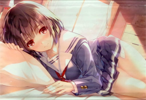 加藤恵 B2タペストリー Blu-ray 全巻特典 冴えない彼女の育てかた♭ 加藤恵 B2タペストリー Blu-ray 全巻特典 冴えない彼女の育てかた♭