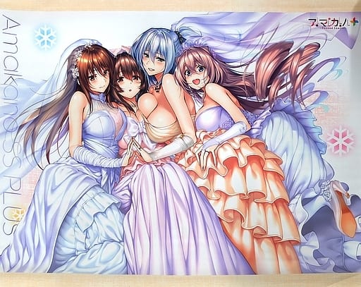 駿河屋 -【アダルト】<中古>[単品] 穂波＆奏＆雪静＆涙香 B2W 