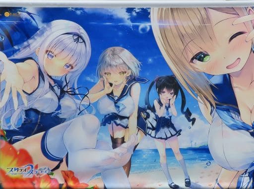 PCソフト スタディ§ステディ　タペストリー2種類 駿河屋 -<中古>集合 B2タペストリー 「スタディ§ステディ2」 C99