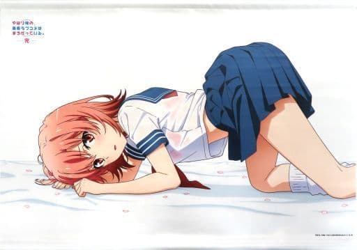 やはり俺の青春ラブコメはまちがっている。完　由比ヶ浜結衣　けろりら　タペストリー 4570077757801受注生産】やはり俺の青春ラブコメはまちがって