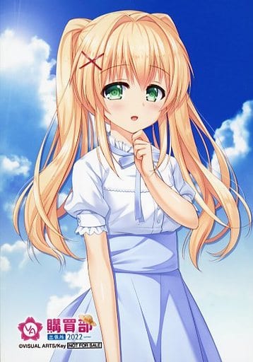 タペストリー 紬ヴェンダース B2タペストリー 「Summer Pockets