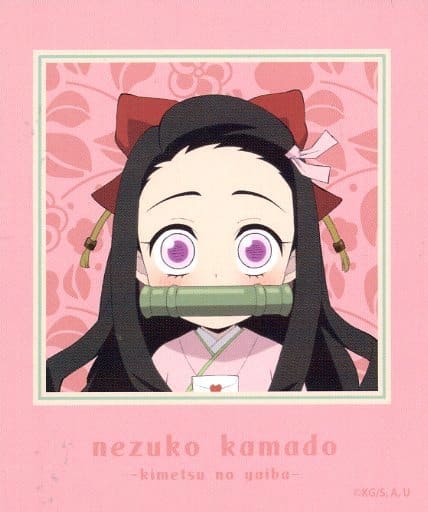 polaroid nezuko