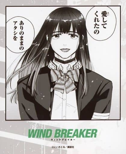 駿河屋 -<中古>椿野佑 「WIND BREAKER POP UP SHOP in PRINCESS