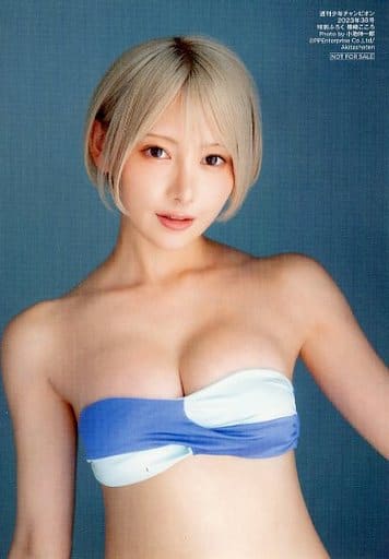 篠崎こころ 直筆サイン入りチェキ 当選品 水着 ヤングキング 2023年 16号 篠崎こころ 直筆サイン入りチェキ 赤