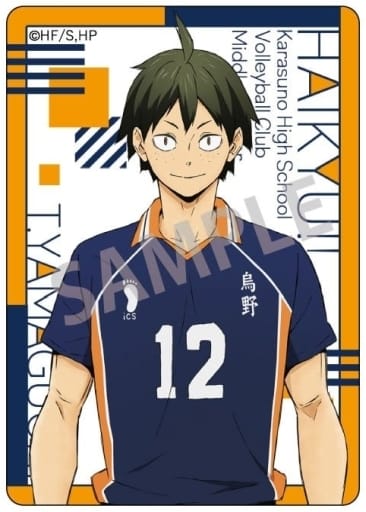 山口忠 山口忠 B2タペストリー [ハイキュー!!] | キャラクター公式