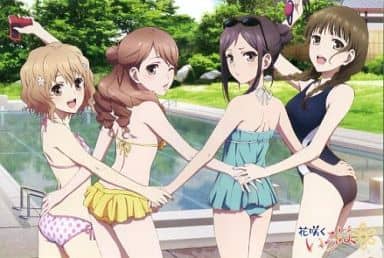 カードスリーブ　花咲くいろは　押水菜子 51m8ZlSCRML._AC_SY200_QL15_.jpg