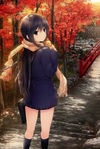 Postcard Late Autumn School Route Coffee Aristocrat Postcard 100 Artists Exhibition 02 Kyoto Venue Limited Sale Goods Goods Accessories Suruga Ya Com