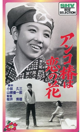 【極上新品】日本工芸会会員「故山根幸子氏作」「山つつじ 夾竹桃 椿の花びら ブロガー山根亜希子さんが選ぶ、日本の美しい「器」×春のおやつ3選[PR