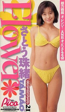 さとう珠緒 Flower ビデオCD さとう珠緒 Flower DVD - メルカリ