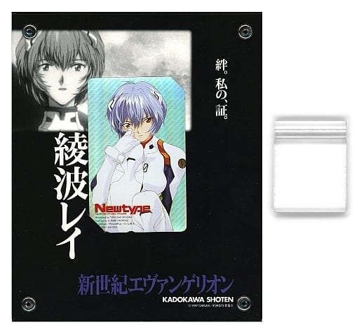 駿河屋 -<中古>綾波レイ「新世紀エヴァンゲリオン/岡崎武士 [額付き