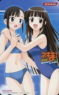 駿河屋 -<中古>桜咲刹那/近衛木乃香「魔法先生ネギま! 課外授業 乙女の