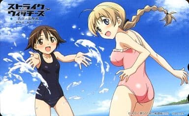 ストライクウィッチーズ 描き下ろしカーテン（宮藤芳佳＆リネット・ビショップ） 第501統合戦闘航空団ストライクウィッチーズ ROAD to BERLIN]描き