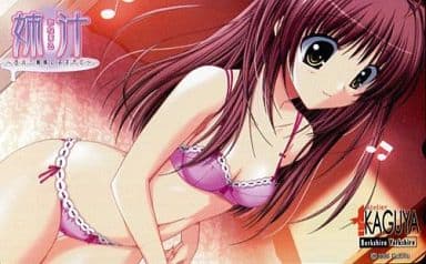 【真作】F6 白川杏子【柔らかい光に包まれて】gallery購入品 共シール有 真作】F6 白川杏子【永遠のバラ】 gallery購入品 共シール有り 油彩