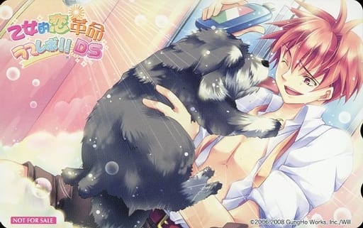 華原雅紀 乙女的戀愛革命ds Media Land特典 玩具模型 Suruga Ya Com
