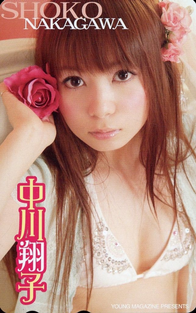 女性アイドル・俳優系金券　「図書カード500円 中川翔子」 ヤングアニマル 抽プレ 駿河屋 -<中古>「中川翔子」 ヤングマガジン 抽プレ（テレホン
